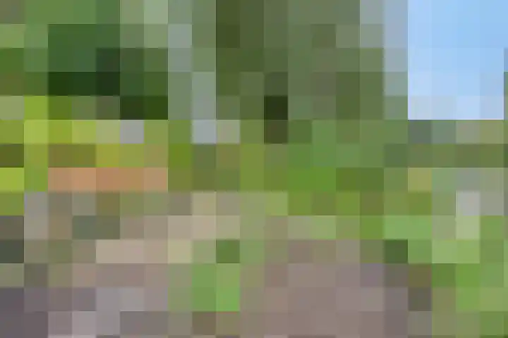 Patrijspoort 55 Groningen thumbnail 6