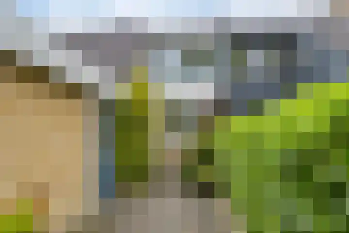 Patrijspoort 55 Groningen thumbnail 7