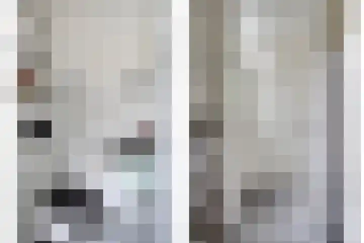 Patrijspoort 55 Groningen thumbnail 9