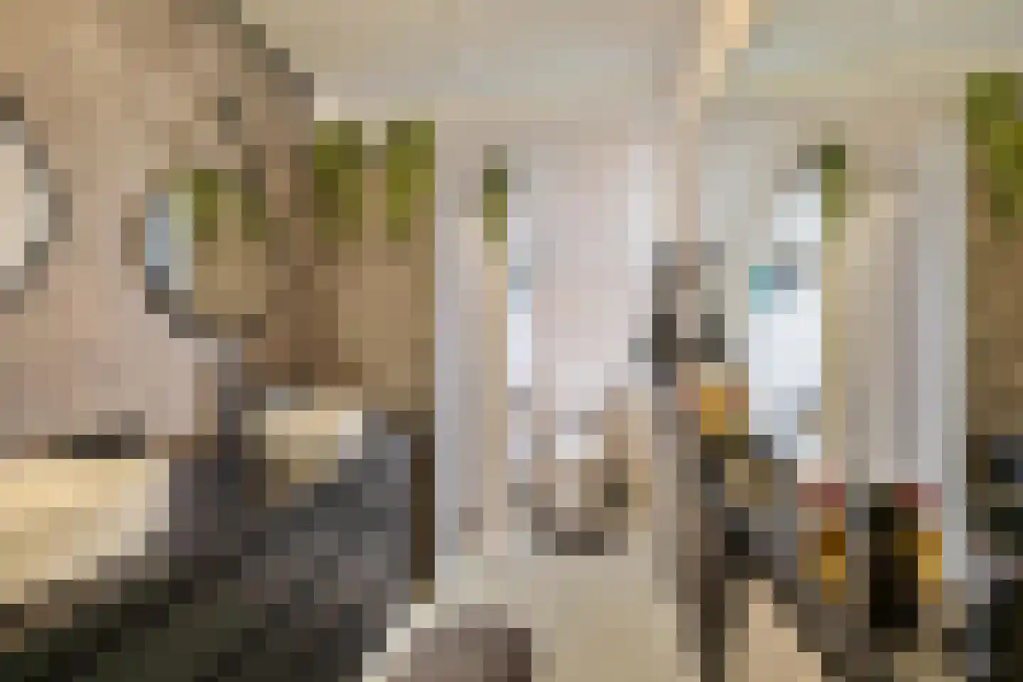Patrijspoort 56 Groningen thumbnail 28