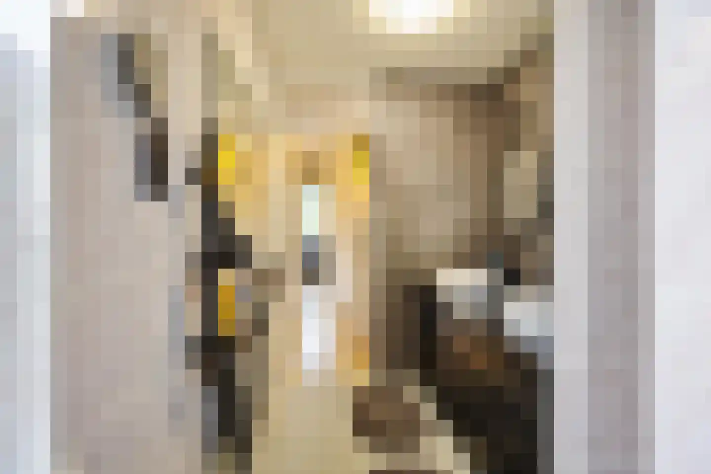 Patrijspoort 56 Groningen thumbnail 29