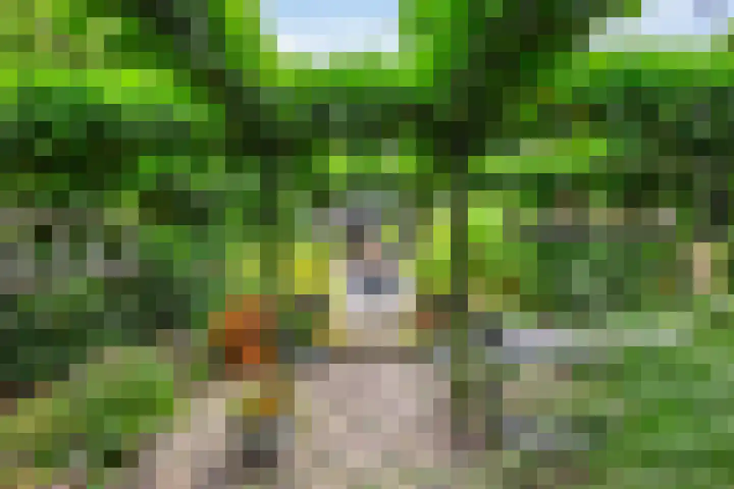 Patrijspoort 56 Groningen thumbnail 41