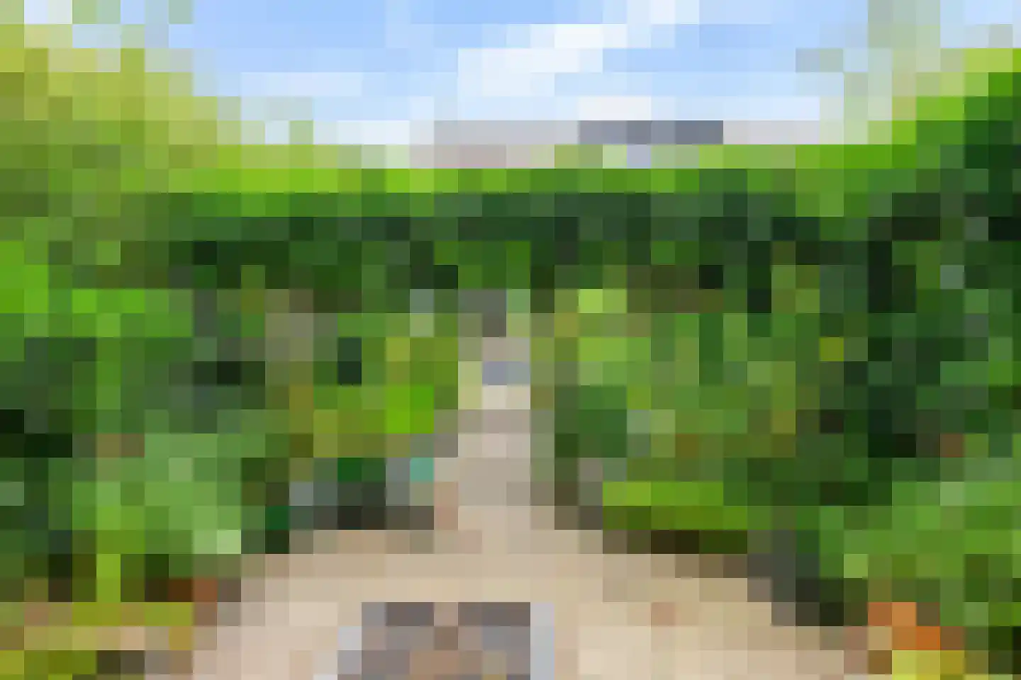 Patrijspoort 56 Groningen thumbnail 42
