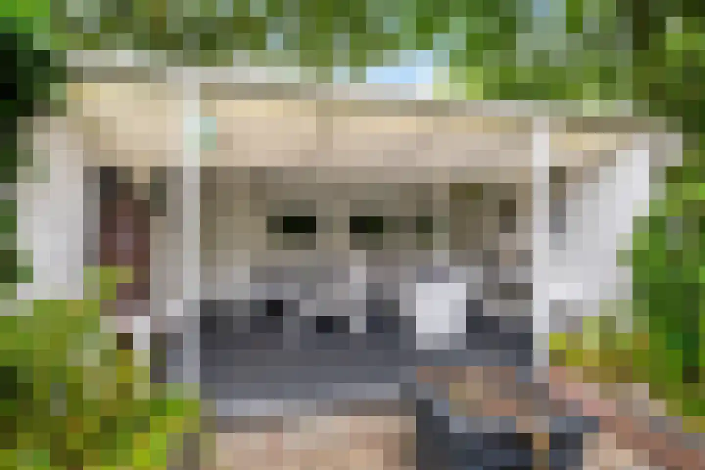 Patrijspoort 56 Groningen thumbnail 43