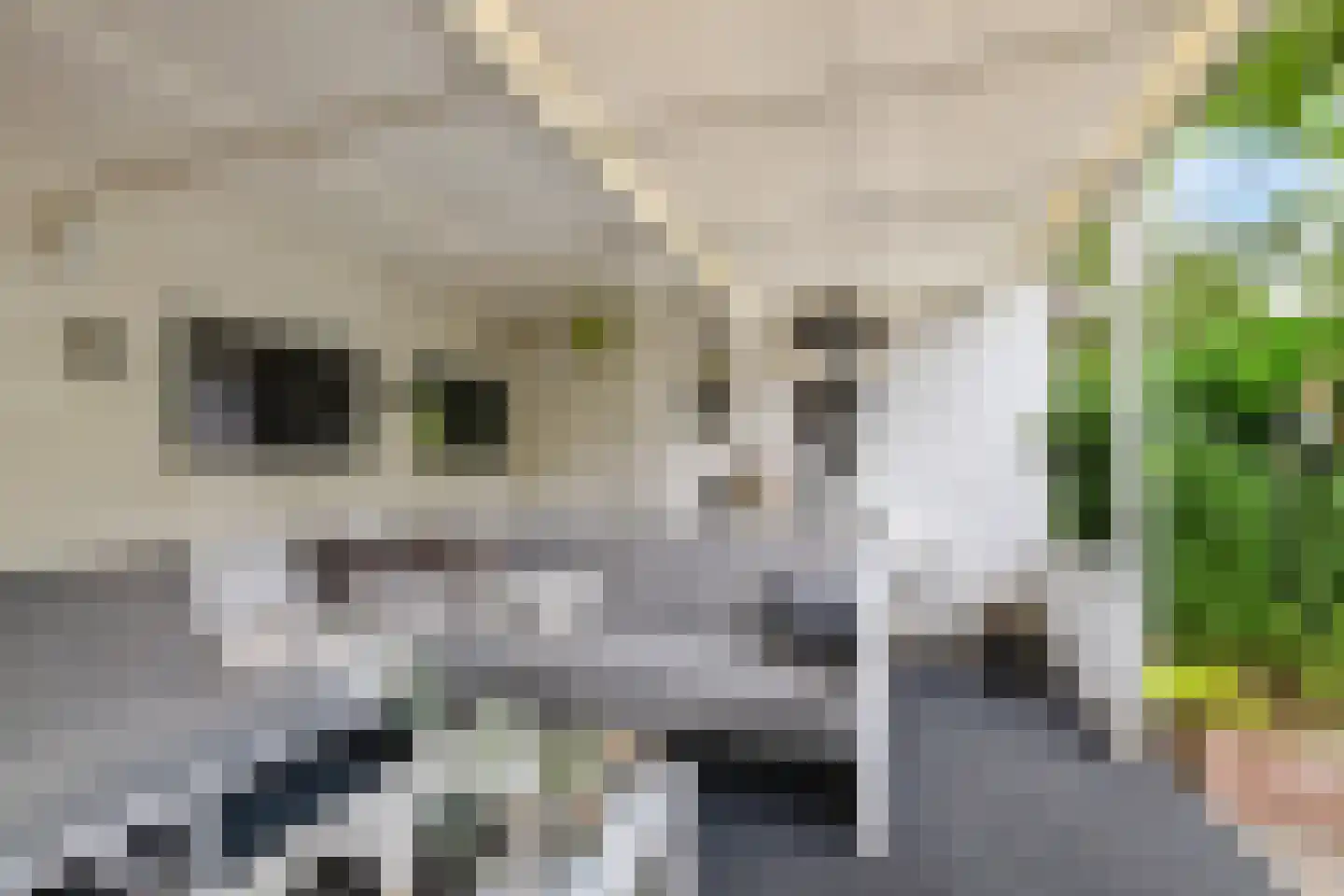 Patrijspoort 56 Groningen thumbnail 45