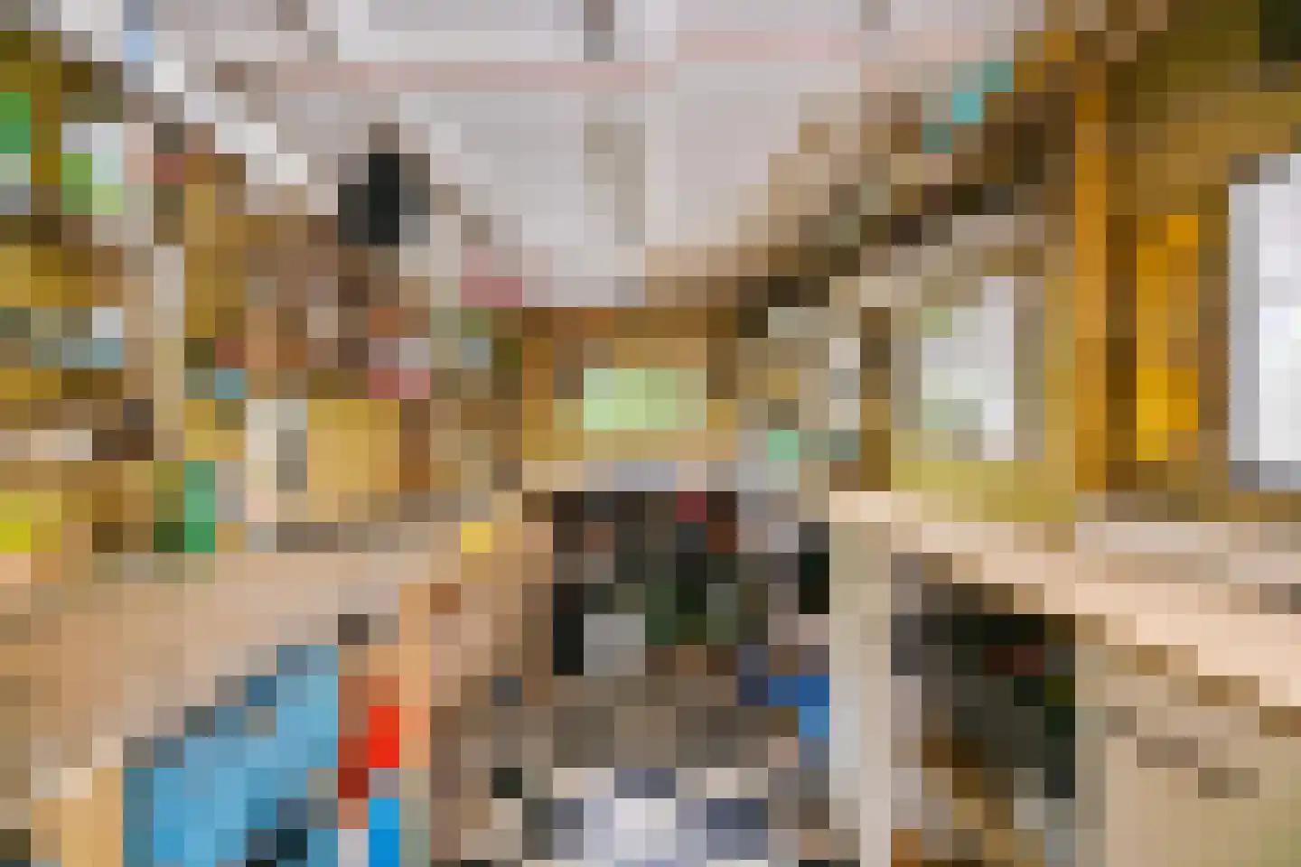 Patrijspoort 56 Groningen thumbnail 48