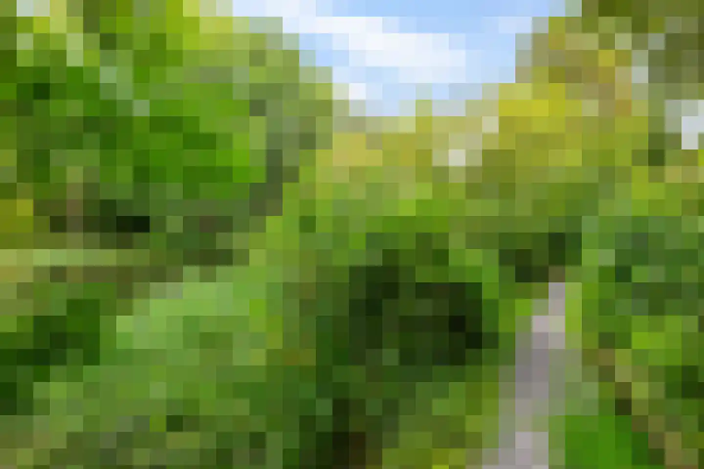 Patrijspoort 56 Groningen thumbnail 50