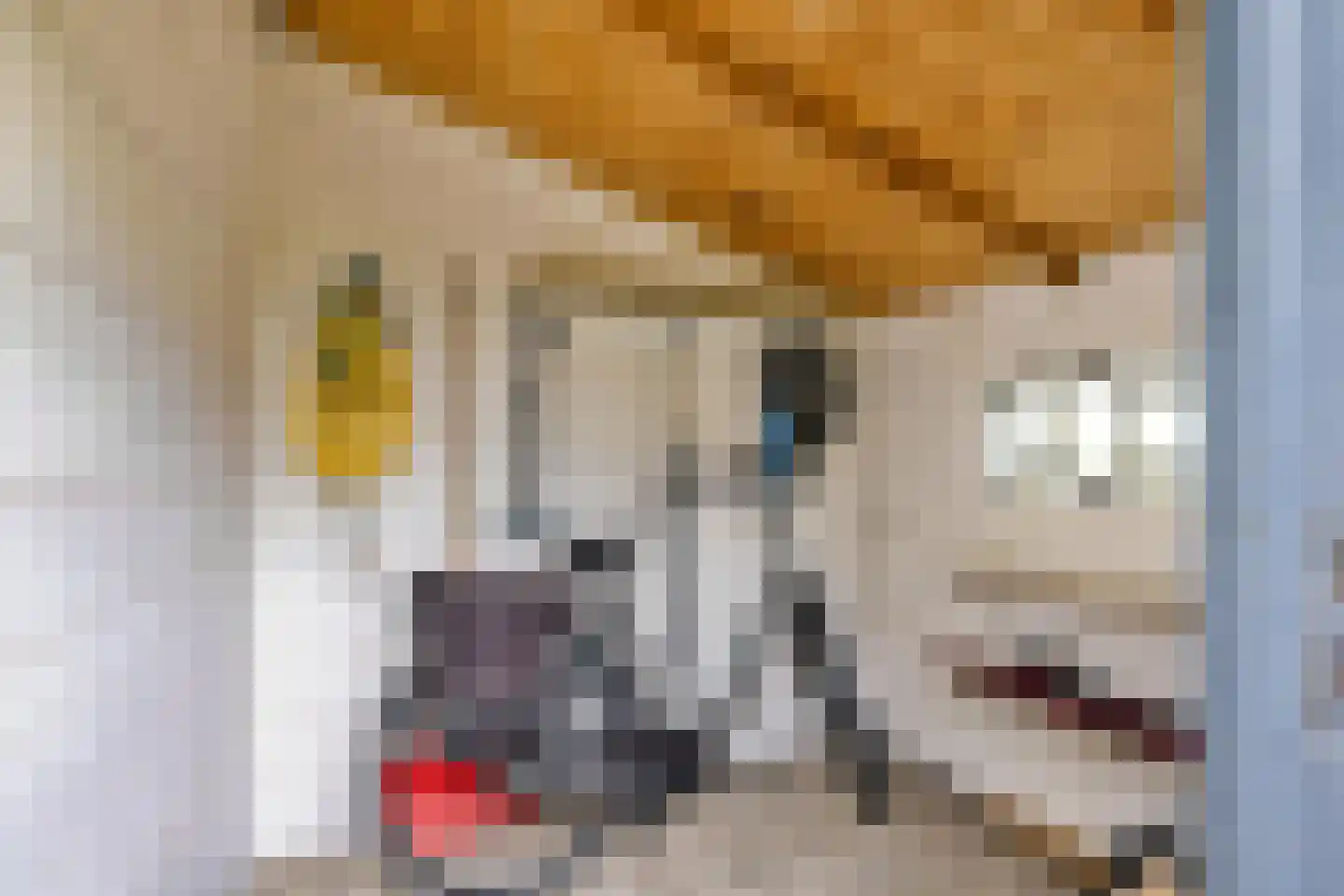 Patrijspoort 56 Groningen thumbnail 53
