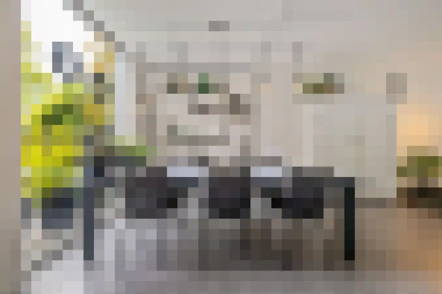 Patrijspoort 56 Groningen thumbnail 8