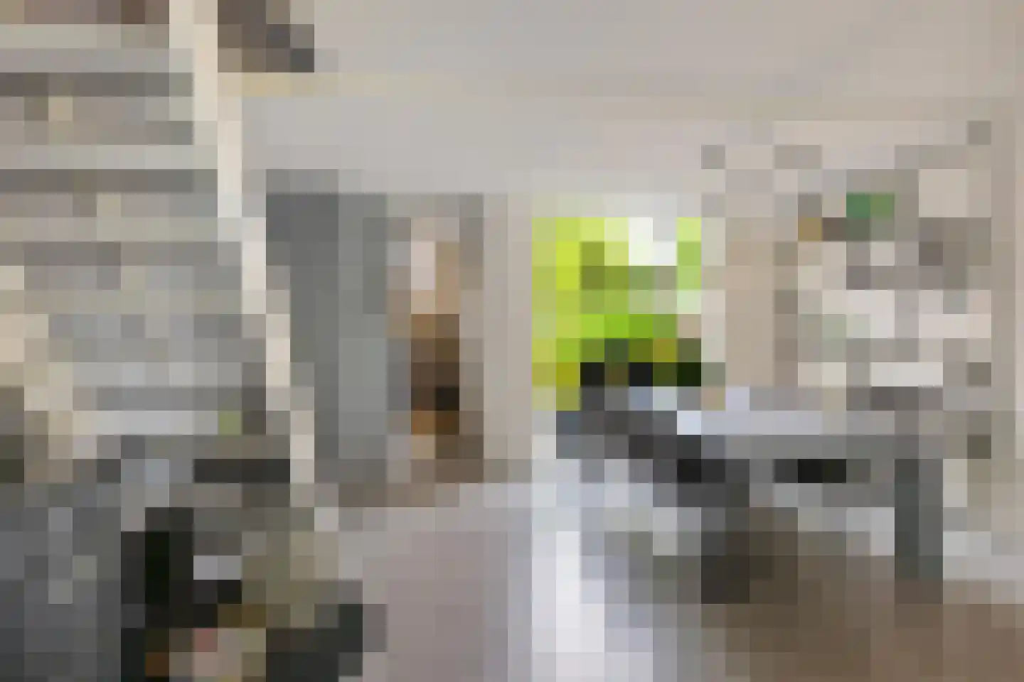 Patrijspoort 56 Groningen thumbnail 9