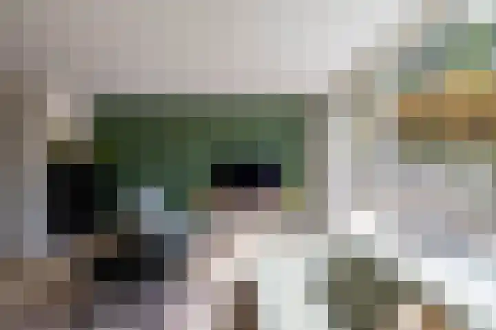 Patrijspoort 70 Groningen thumbnail 12