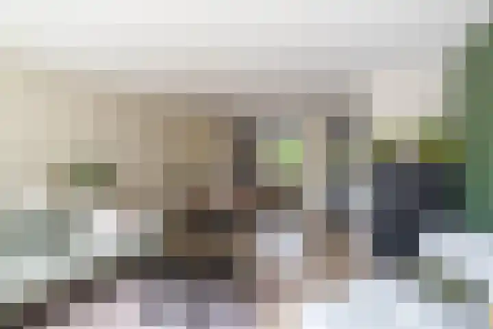 Patrijspoort 70 Groningen thumbnail 13