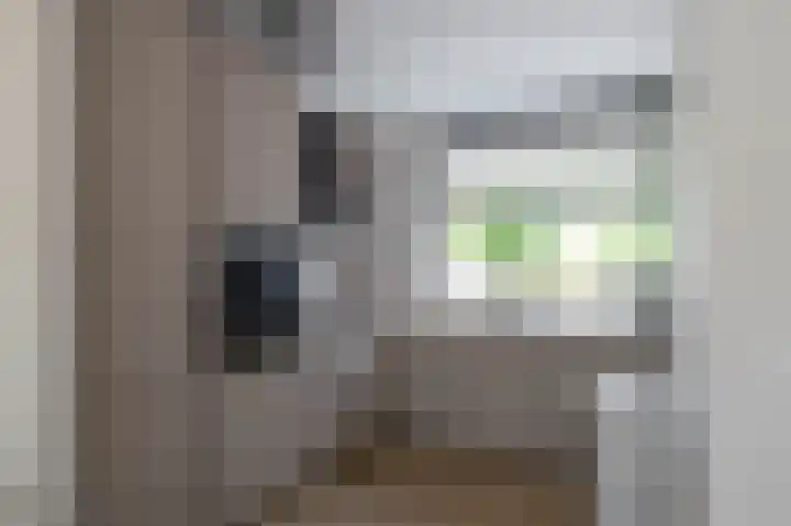 Patrijspoort 70 Groningen thumbnail 16