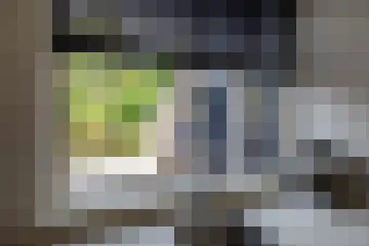 Patrijspoort 70 Groningen thumbnail 18