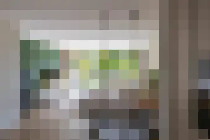 Patrijspoort 70 Groningen thumbnail 19