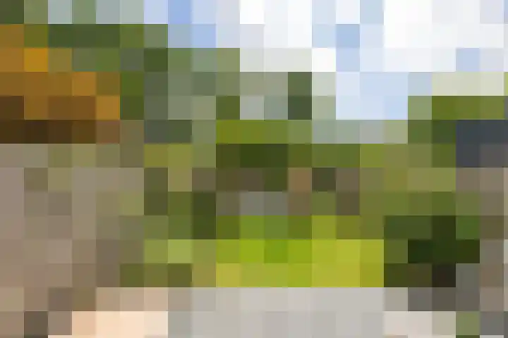 Patrijspoort 70 Groningen thumbnail 20