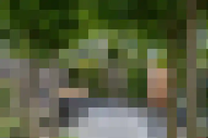 Patrijspoort 70 Groningen thumbnail 21
