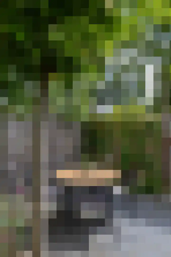 Patrijspoort 70 Groningen thumbnail 22