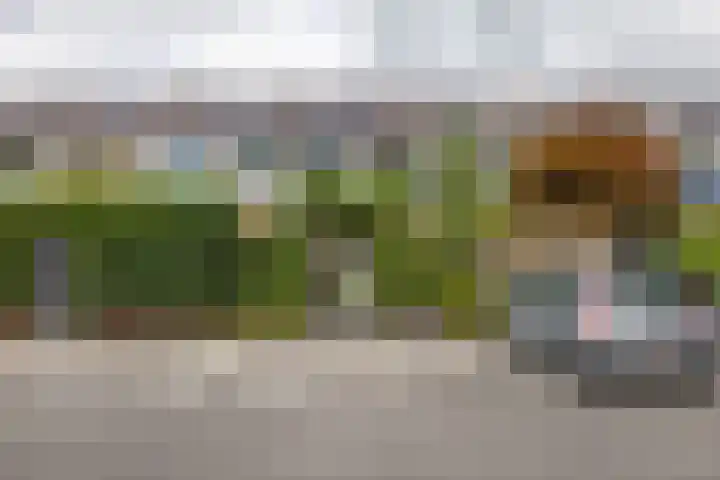 Patrijspoort 70 Groningen thumbnail 23
