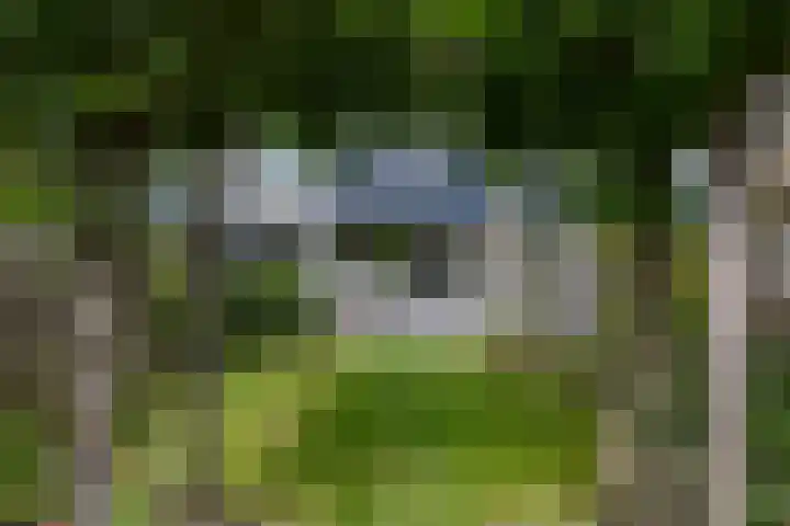 Patrijspoort 70 Groningen thumbnail 24