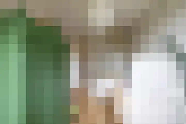 Patrijspoort 70 Groningen thumbnail 32