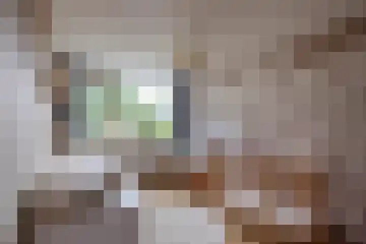 Patrijspoort 70 Groningen thumbnail 33