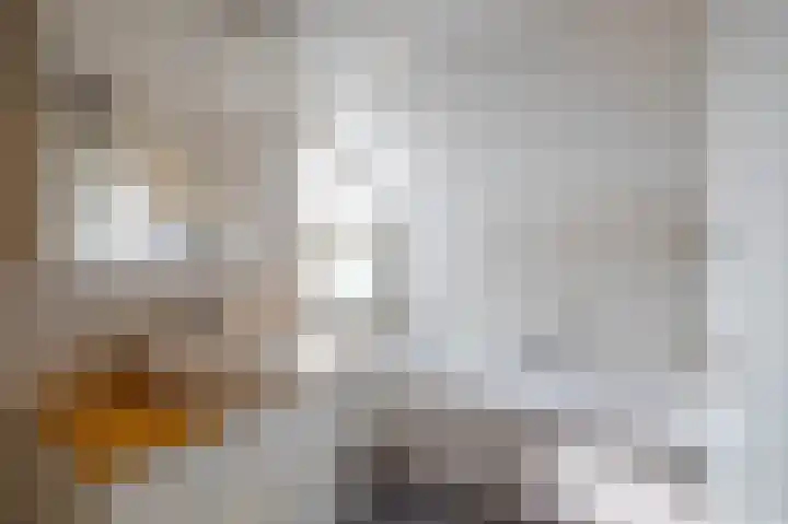 Patrijspoort 70 Groningen thumbnail 36