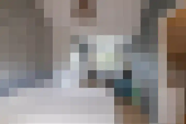 Patrijspoort 70 Groningen thumbnail 41