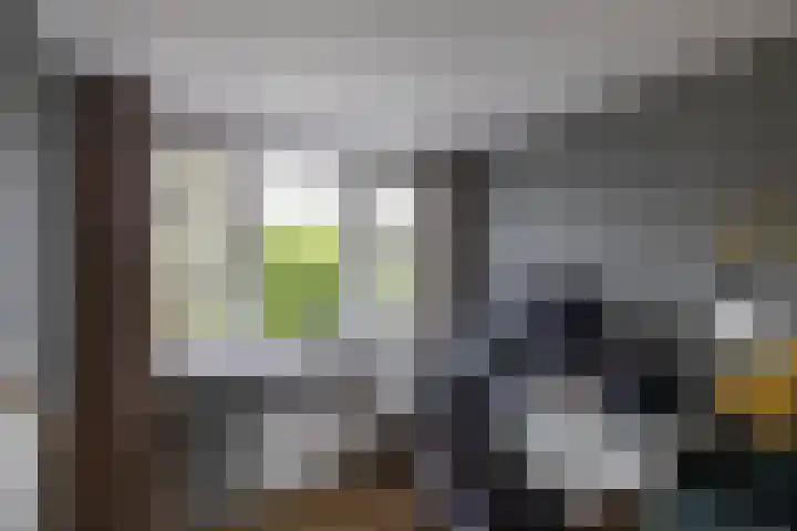 Patrijspoort 70 Groningen thumbnail 43