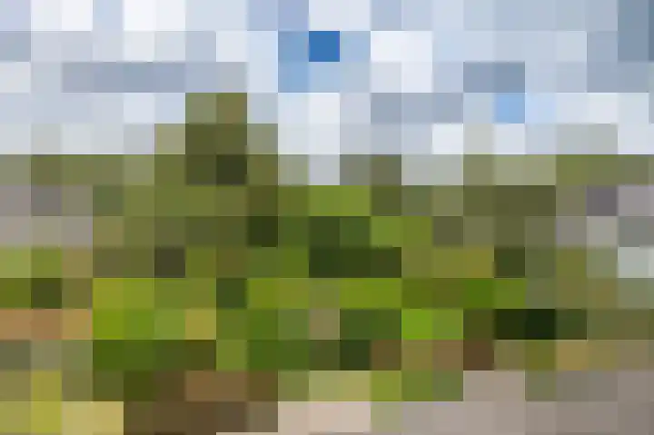 Patrijspoort 70 Groningen thumbnail 44