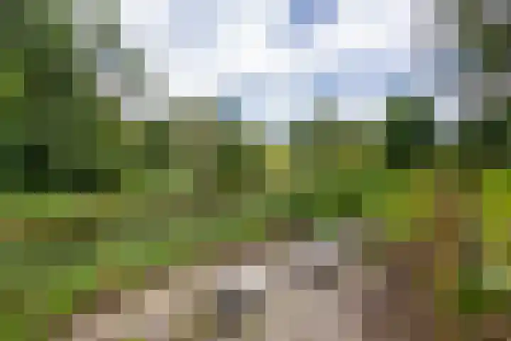 Patrijspoort 70 Groningen thumbnail 6