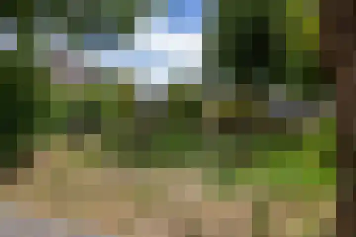 Patrijspoort 70 Groningen thumbnail 7