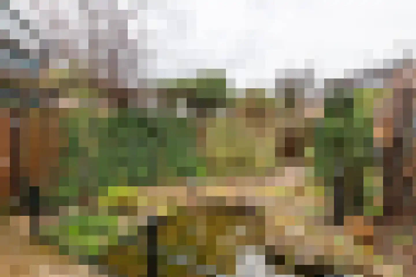 Patrijspoort 8 Veenendaal thumbnail 16