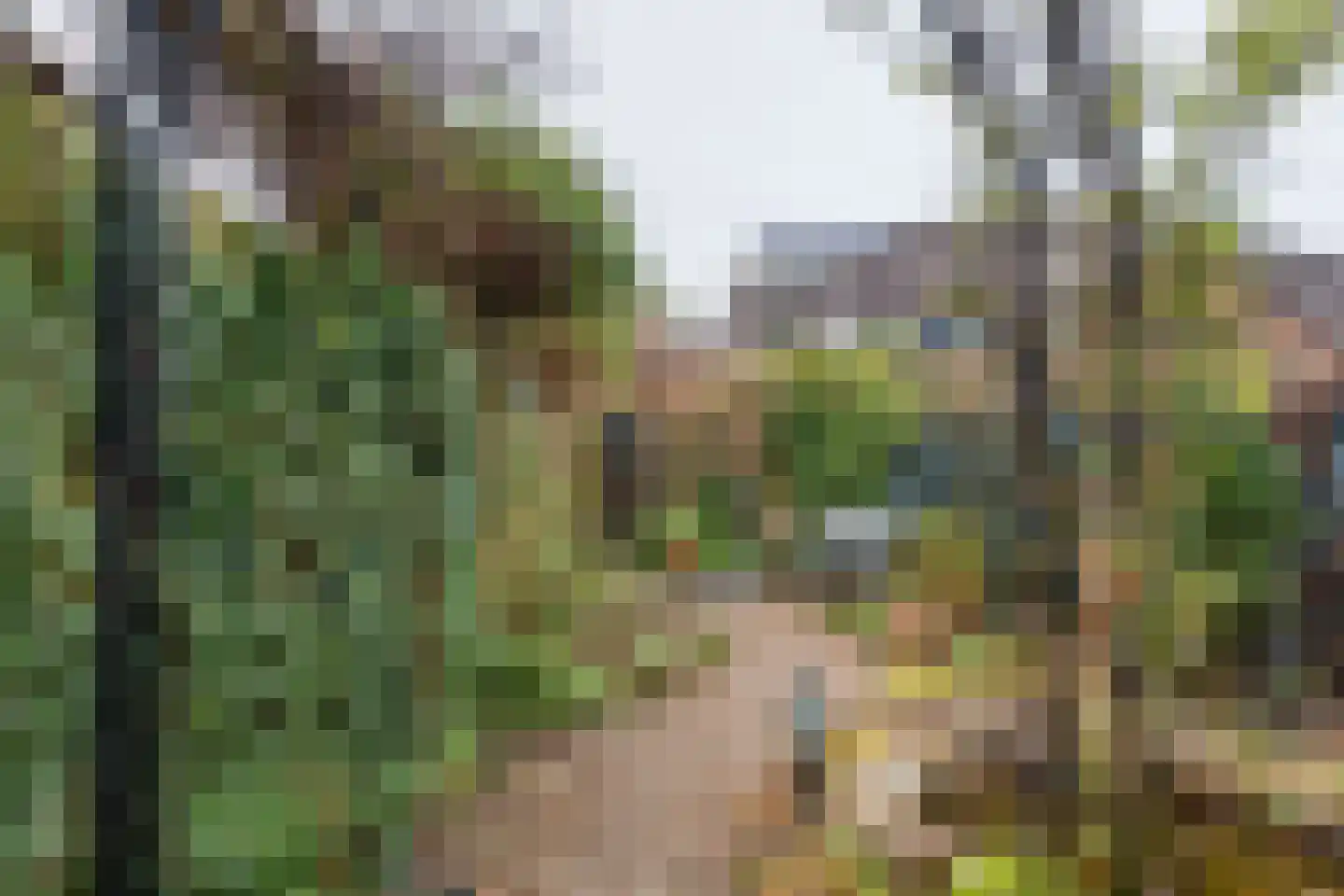 Patrijspoort 8 Veenendaal thumbnail 17