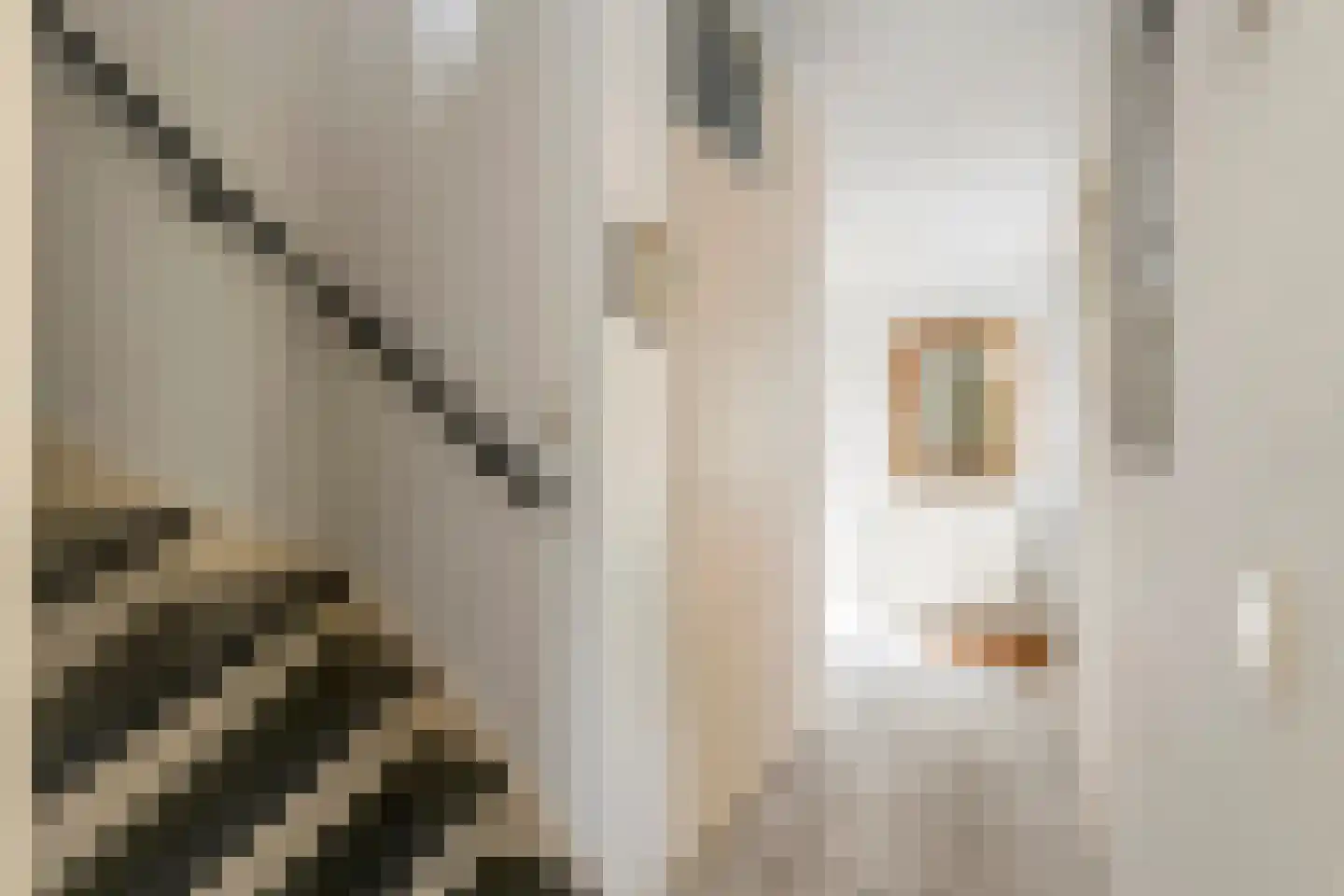 Patrijspoort 8 Veenendaal thumbnail 18