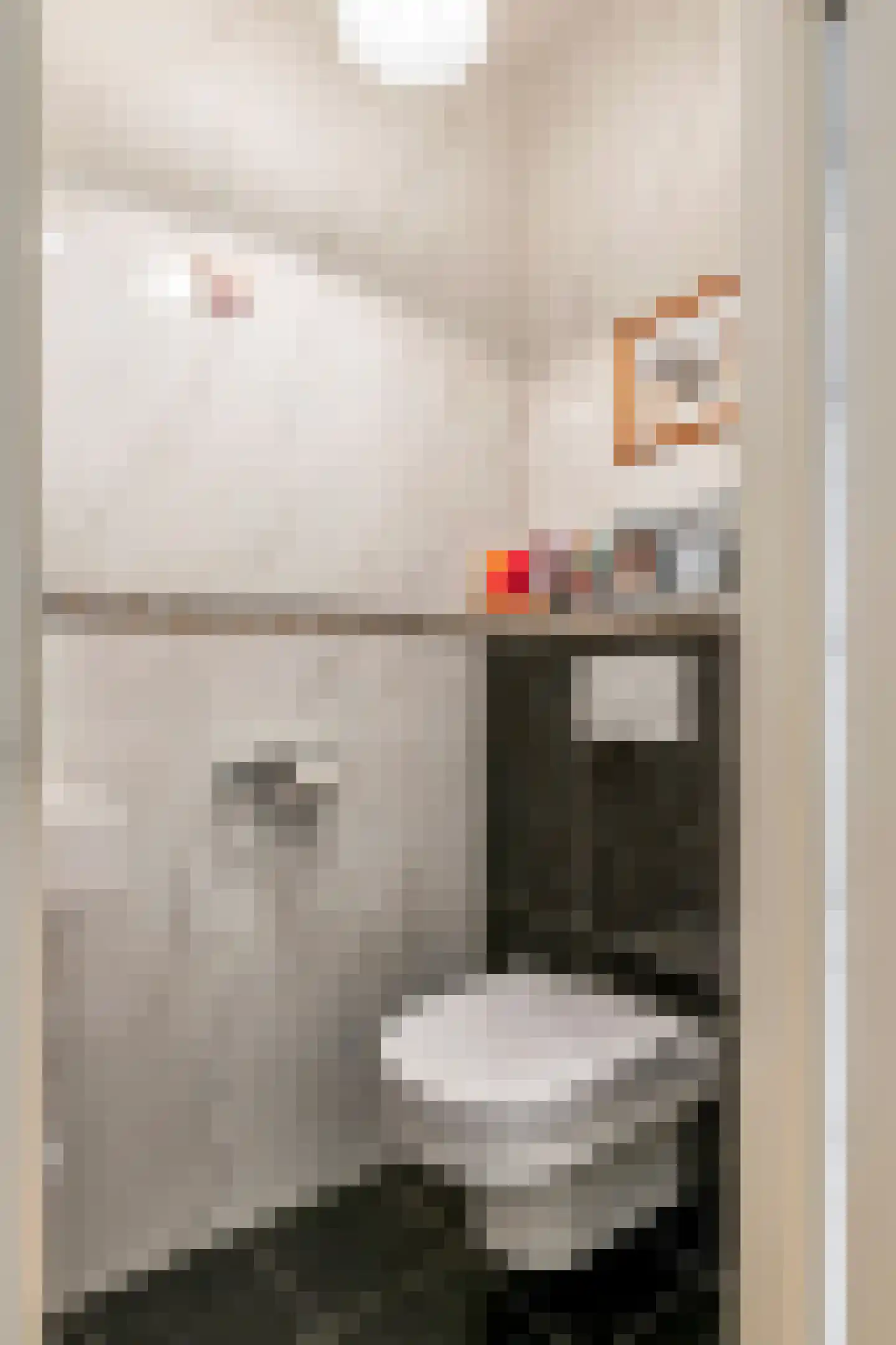 Patrijspoort 8 Veenendaal thumbnail 19