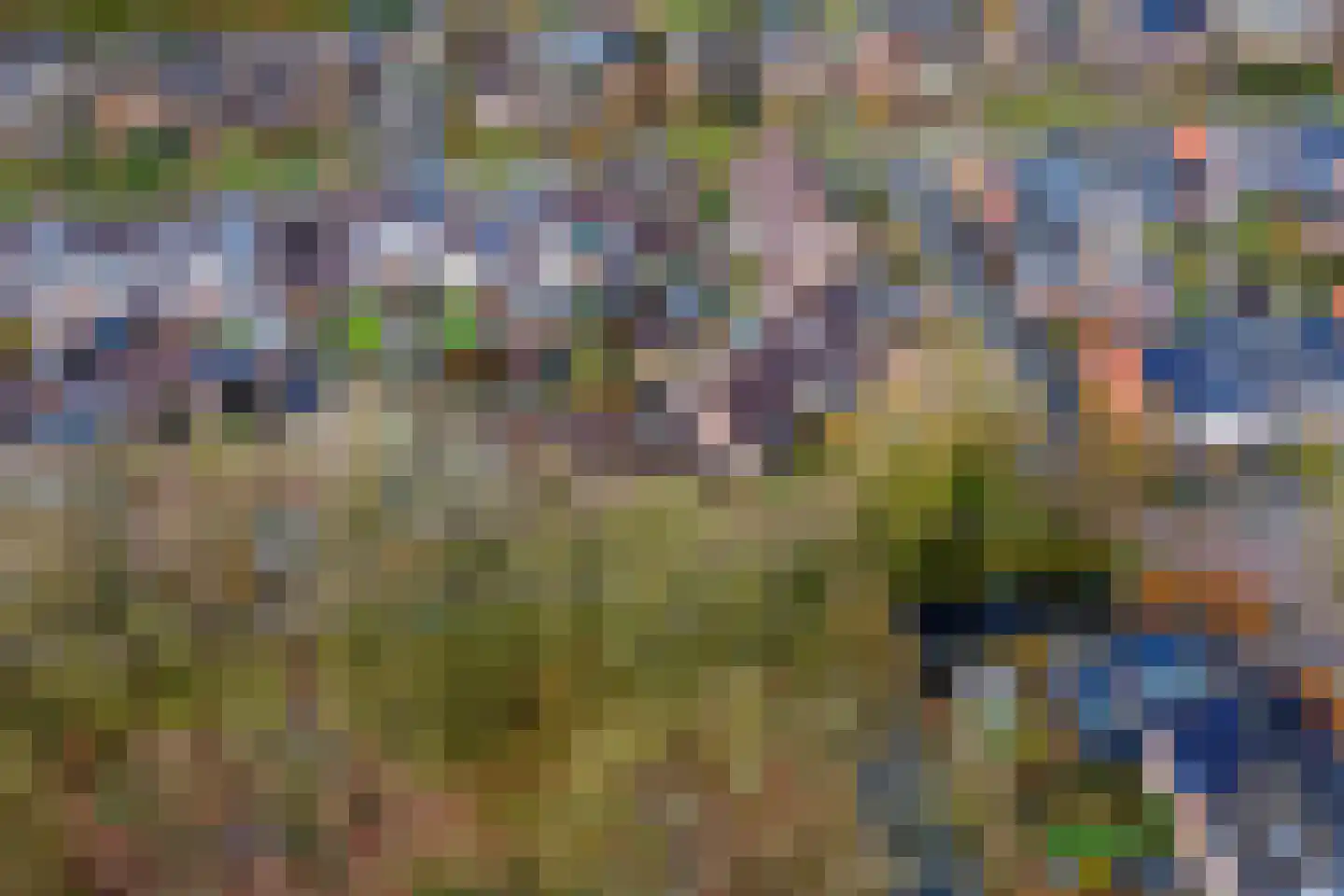 Patrijspoort 8 Veenendaal thumbnail 34