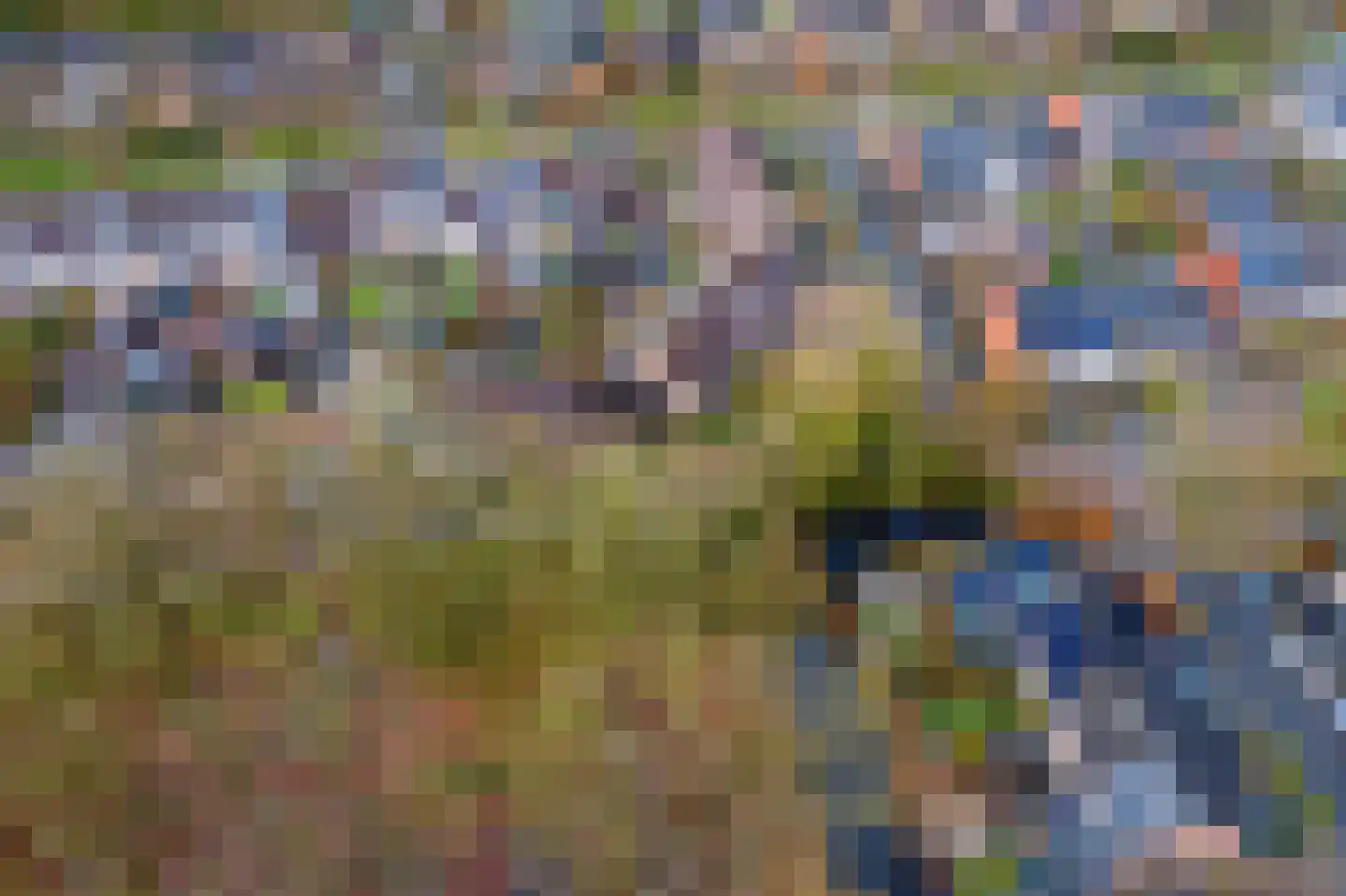 Patrijspoort 8 Veenendaal thumbnail 35