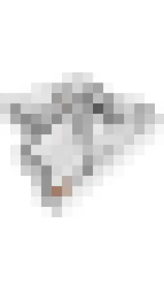 Patrijspoort 8 Veenendaal thumbnail 38
