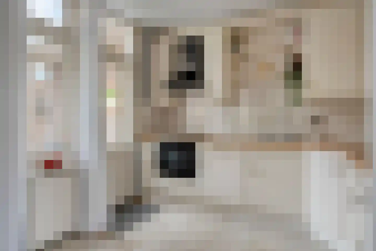 Patrijsstraat 1 Made thumbnail 12