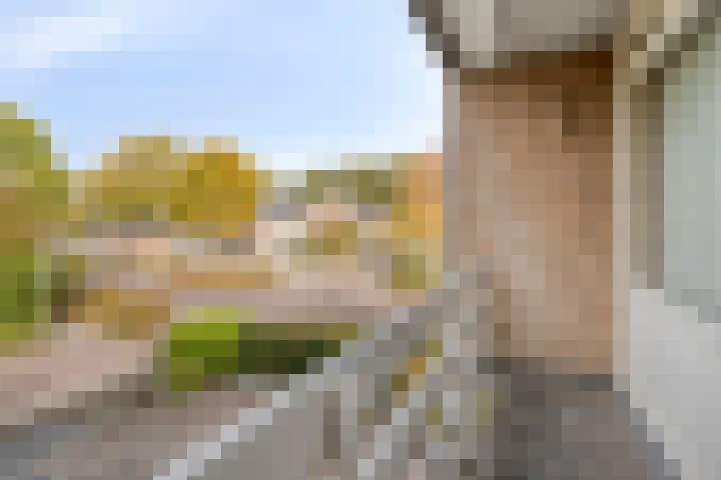 Patrijsstraat 1 Made thumbnail 23