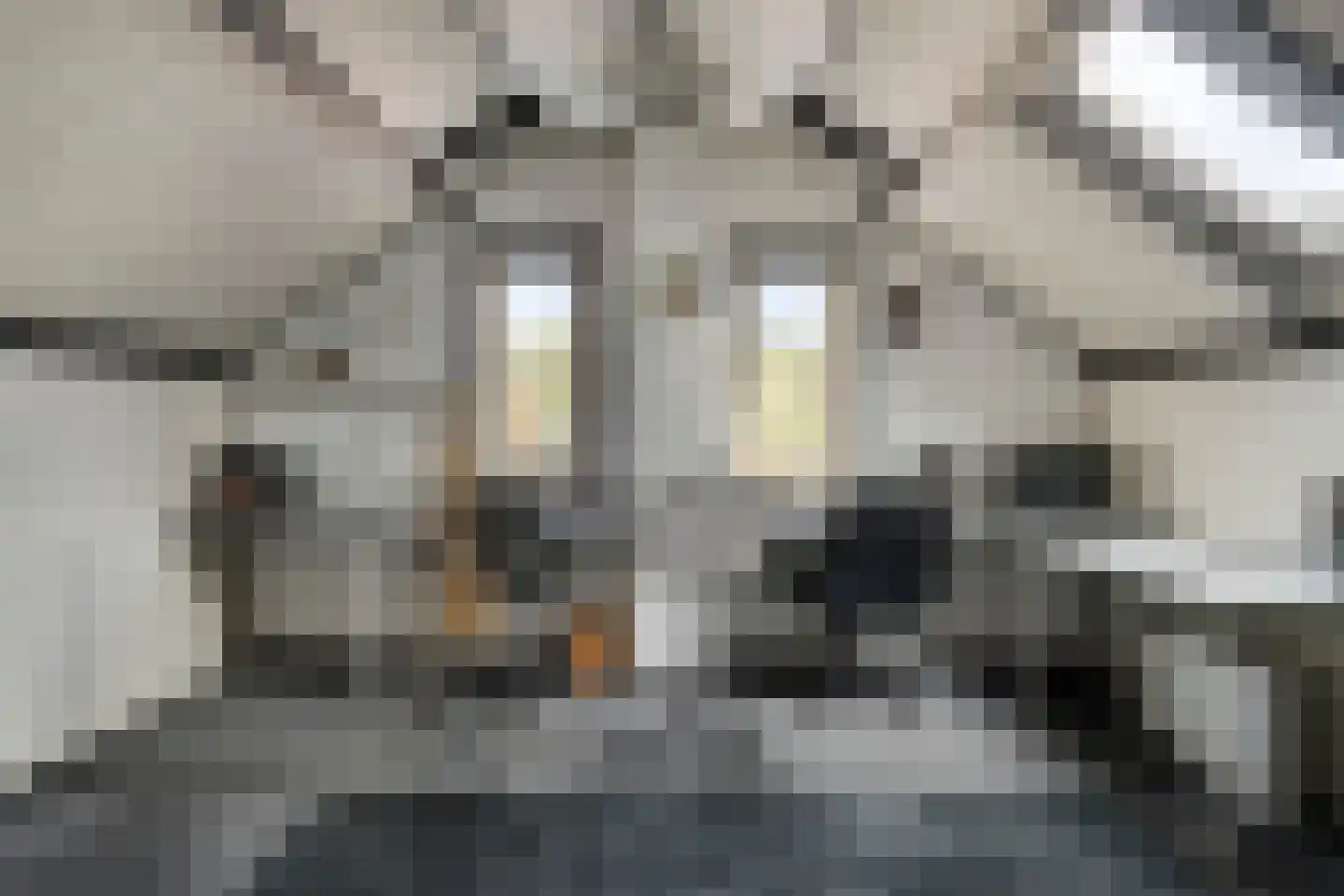 Patrijsstraat 1 Made thumbnail 30