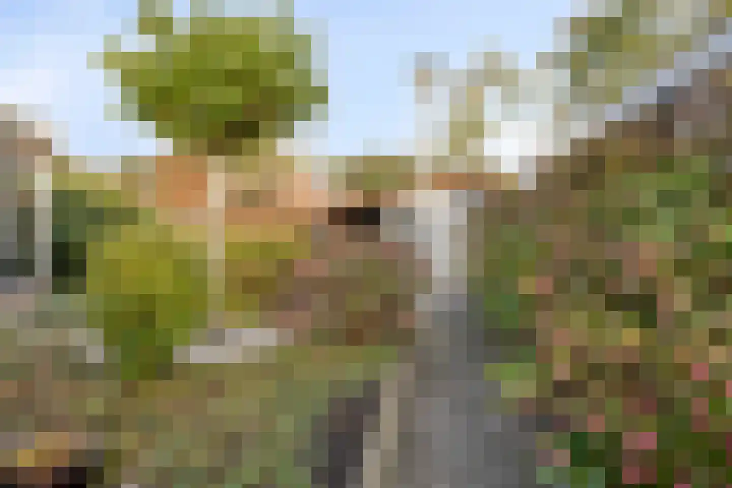 Patrijsstraat 1 Made thumbnail 36