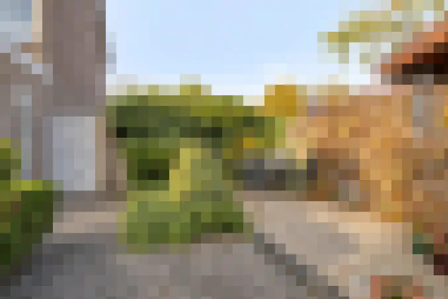 Patrijsstraat 1 Made thumbnail 38