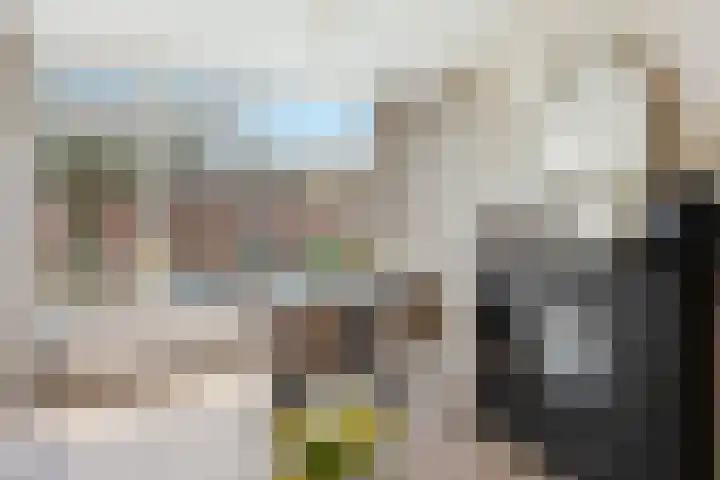 Patrijsstraat 1 Papendrecht thumbnail 11