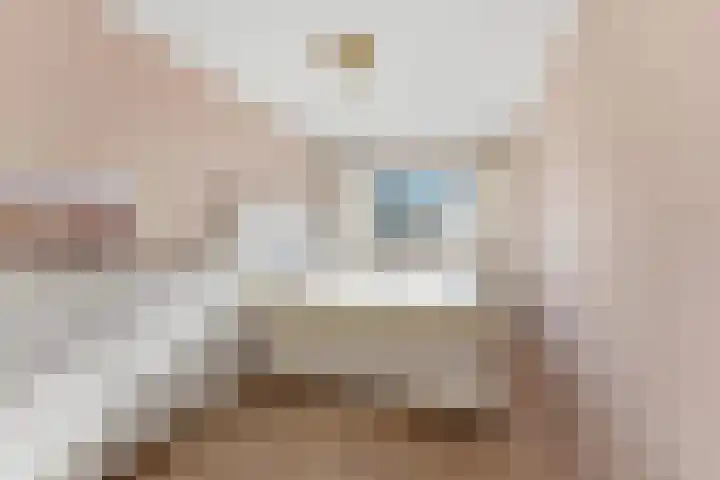Patrijsstraat 1 Papendrecht thumbnail 25