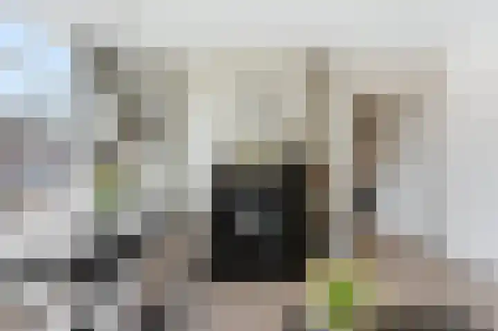 Patrijsstraat 1 Papendrecht thumbnail 7