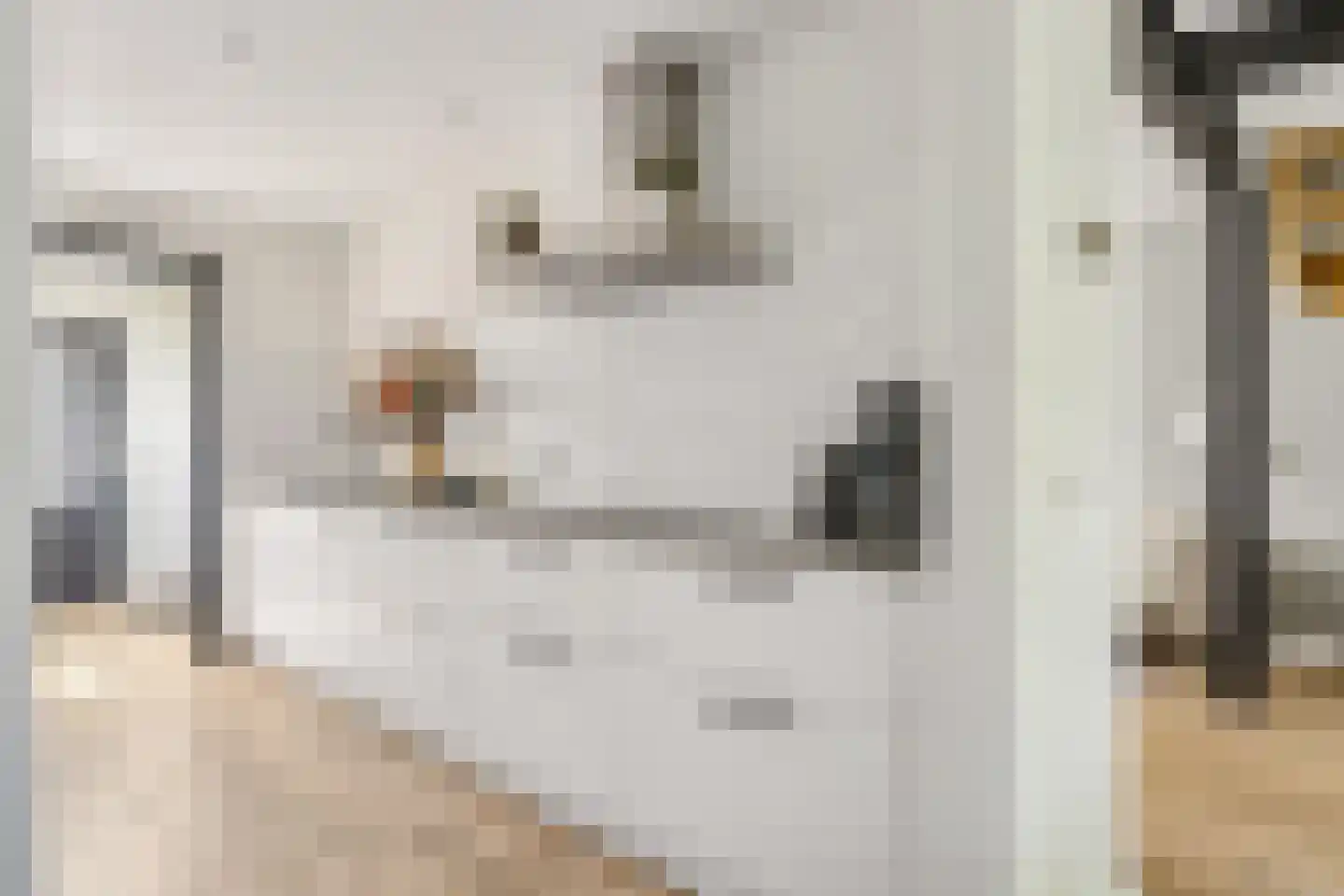 Patrijsstraat 103 Neede thumbnail 17
