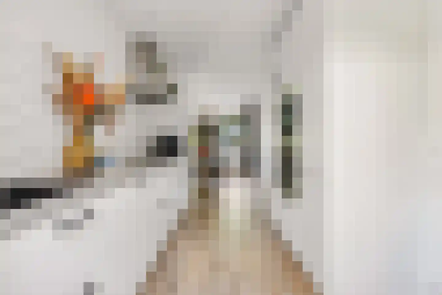 Patrijsstraat 103 Neede thumbnail 18