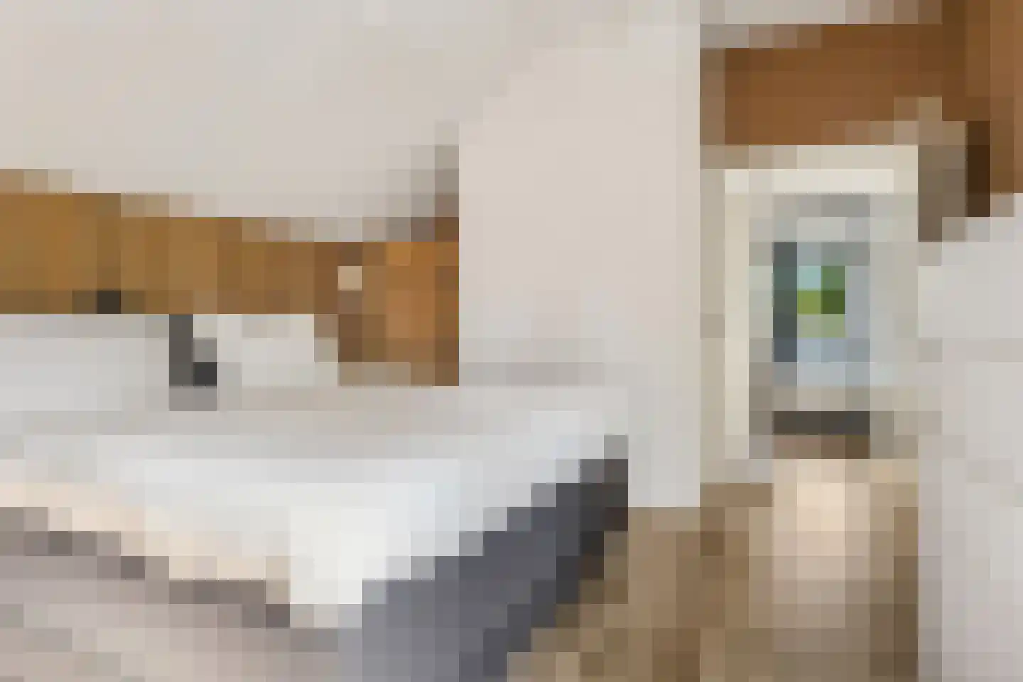 Patrijsstraat 103 Neede thumbnail 27